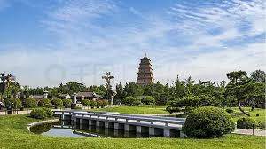 新疆各城市绿化